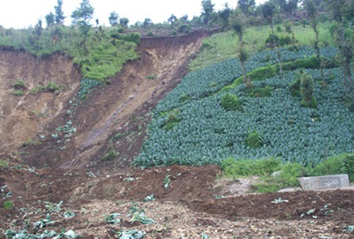 Storms and Eruptions in Central America