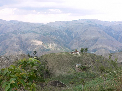 Planting Hope in Haiti