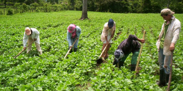 Rural Reconstruction Program - HONDURAS - World Accord