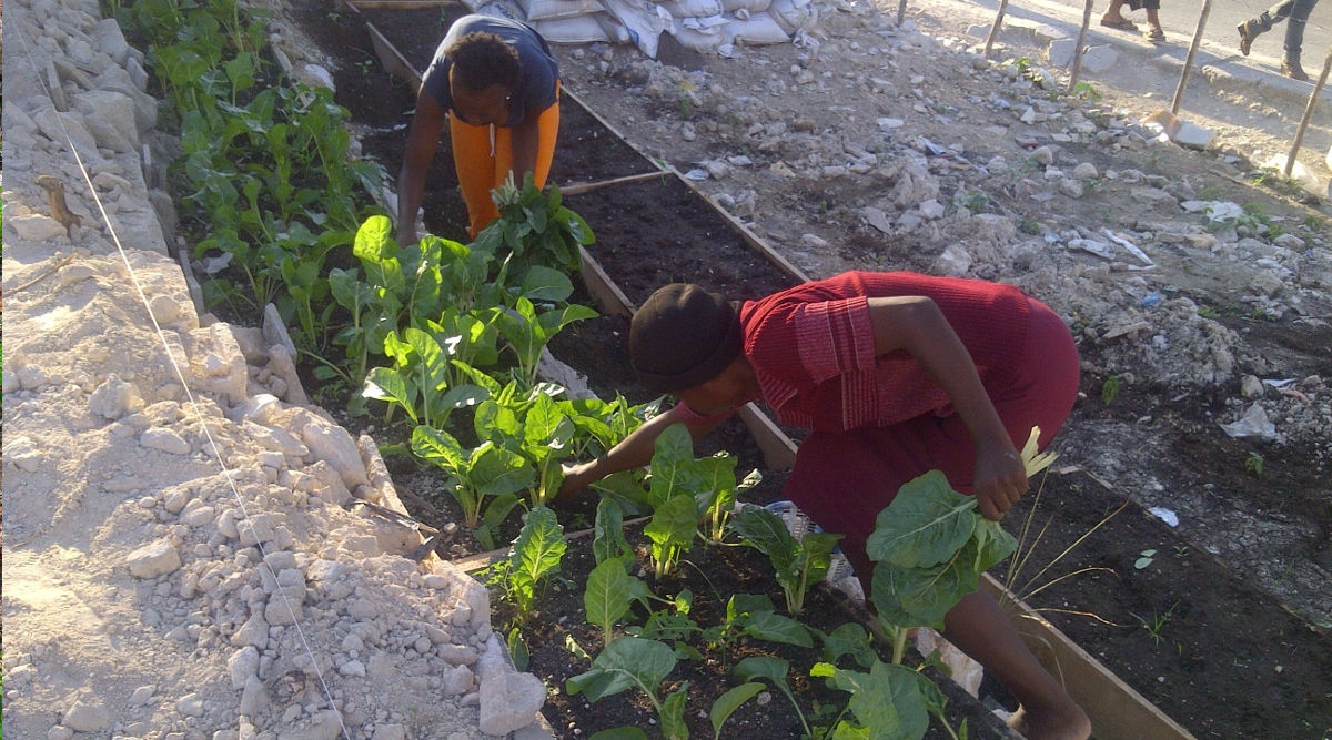 Give Life – Agricultural Co-op in Haiti